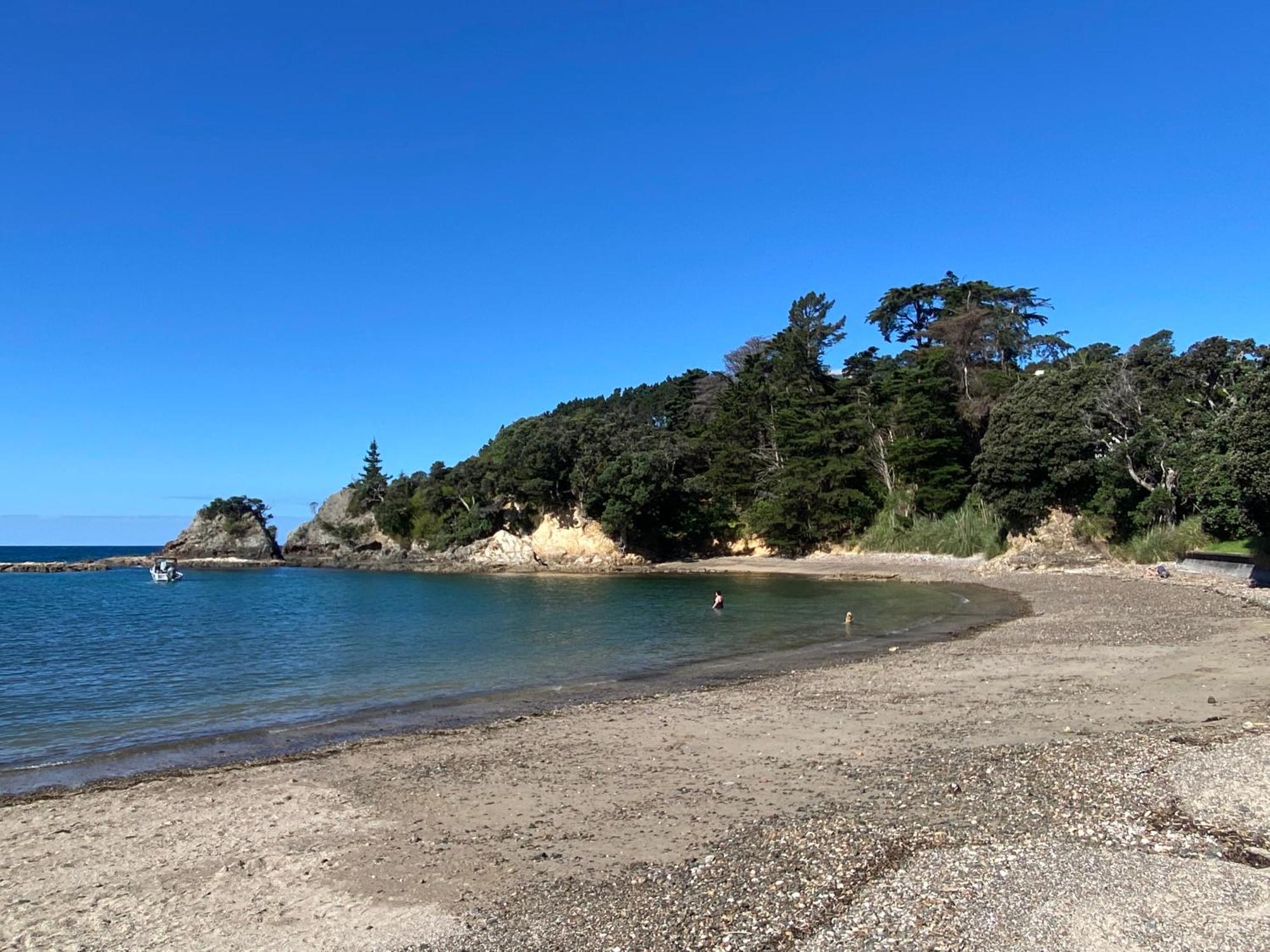 Kereru Cabin - Spectacular Seaviews, Rustic, Glamping Eco Adventure Palm Beach Exterior photo