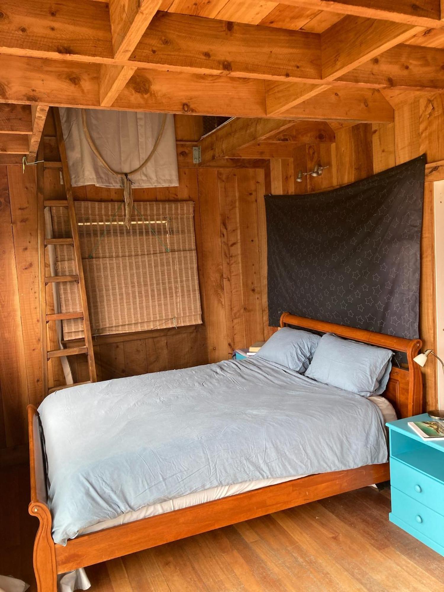 Kereru Cabin - Spectacular Seaviews, Rustic, Glamping Eco Adventure Palm Beach Exterior photo